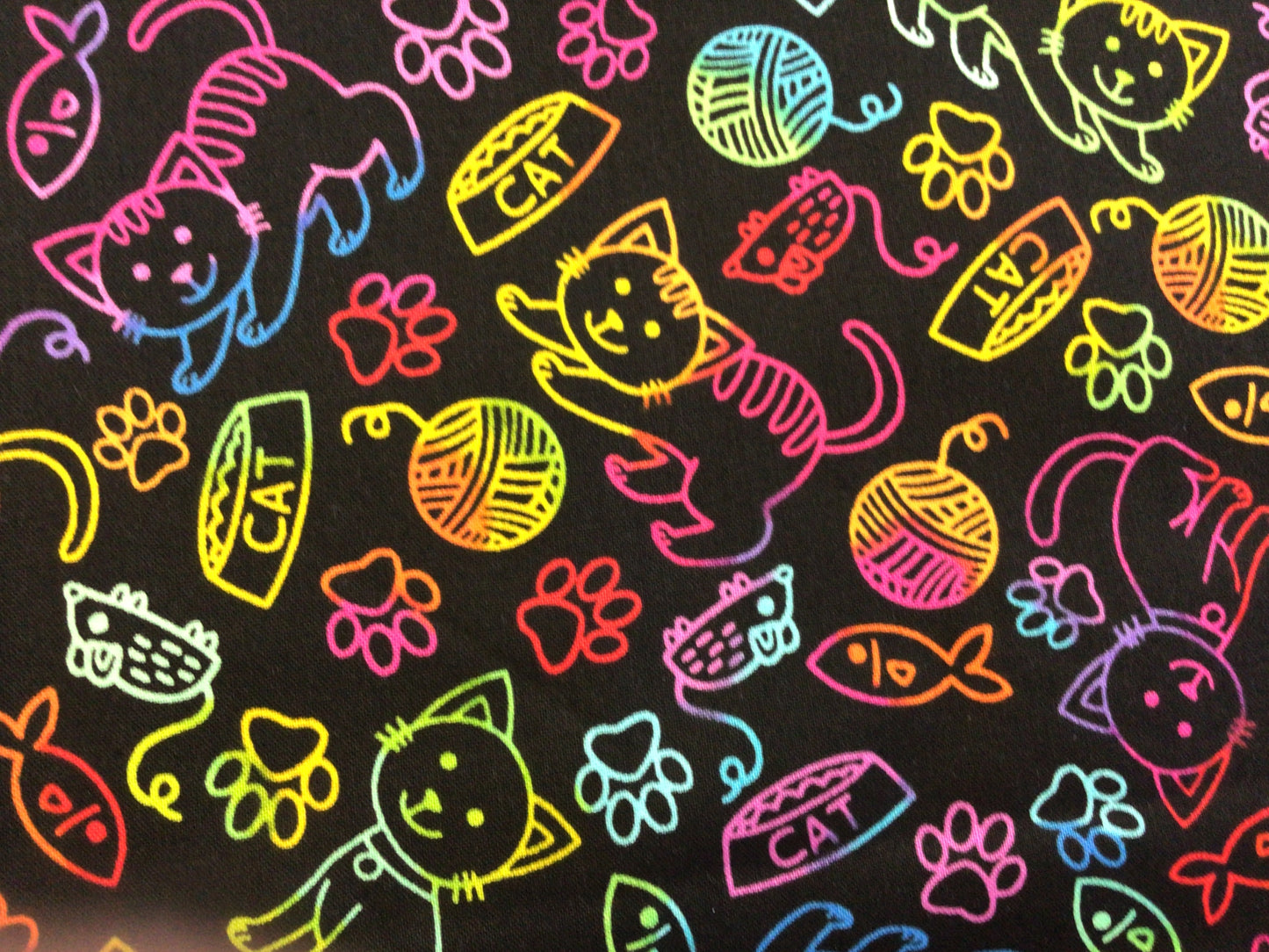 Cat and mouse fluro rainbow on black