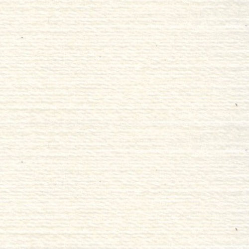 Rasant 0573 Ivory 1000m ( Colour may vary on your computer)