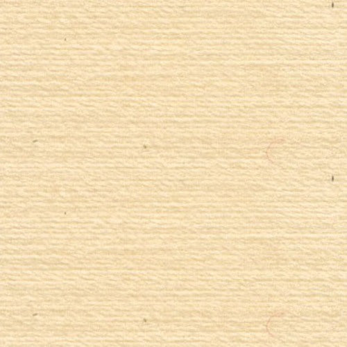 Rasant 0961 Tawny Cream 1000m ( Colour may vary on your computer)