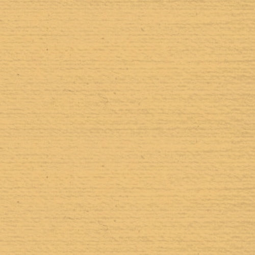 Rasant 1117 Wheat 1000m ( Colour may vary on your computer)