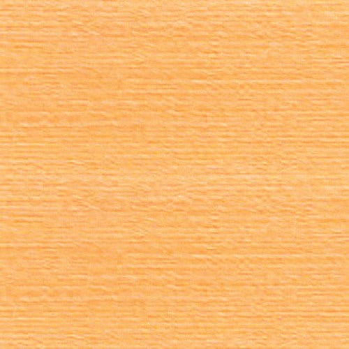 Rasant 2422 Pale Pumpkin Orange 1000m