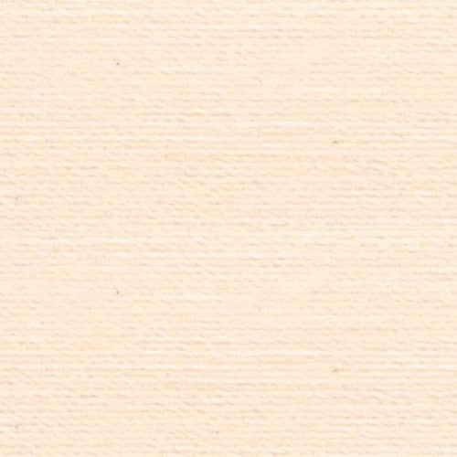 Rasant 5099 Light Peach Cream 1000m ( Colour may vary on your computer)