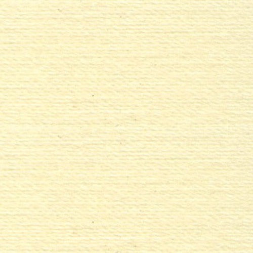 Rasant Light Pale Yellow 1000m ( Colour may vary on your computer)