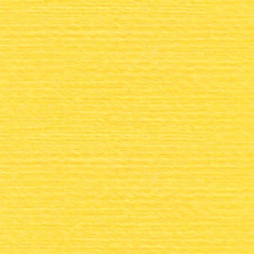 Rasant X0120 Yellow 1000m ( Colour may vary on your computer)
