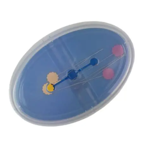 Hemline Deluxe Magnetic Pin Dish with Secure Storage