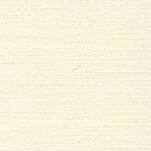 Rasant 0875 Cream 1000m ( Colour may vary on your computer)
