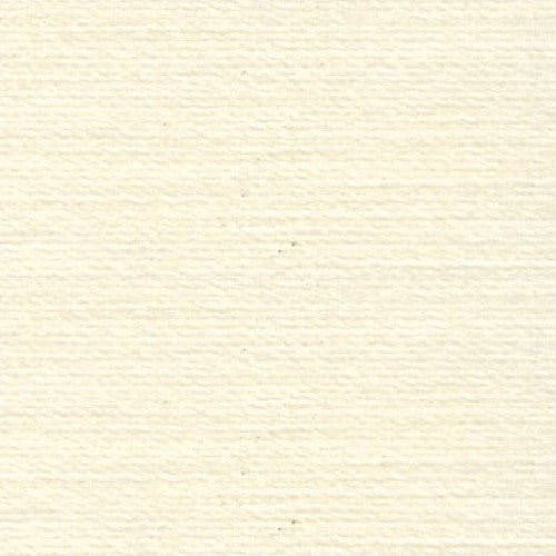 Rasant 0875 Cream 1000m ( Colour may vary on your computer)