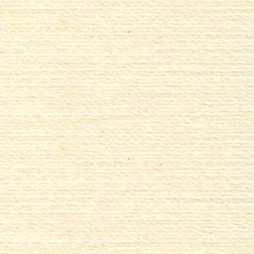 Rasant 5018 Tawny Cream 1000m ( Colour may vary on your computer)