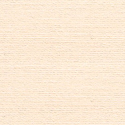Rasant 5099 Light Peach Cream 1000m ( Colour may vary on your computer)