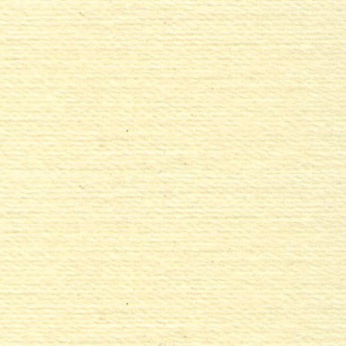 Rasant Light Pale Yellow 1000m ( Colour may vary on your computer)