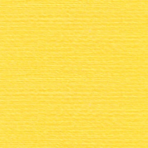 Rasant X0120 Yellow 1000m ( Colour may vary on your computer)